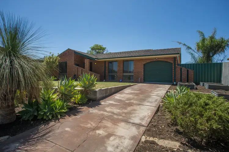 Fifth view of Homely house listing, 19 Meagher Way, Beechboro WA 6063