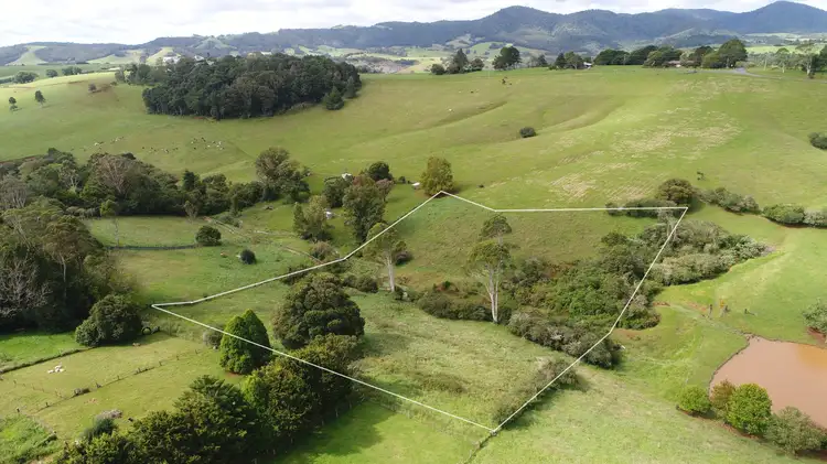 Lot 843 Kurrajong Street, Dorrigo NSW 2453