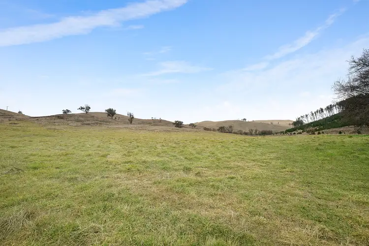 Fourth view of Homely land listing, 437 Swallows Nest Road, Mount David NSW 2795