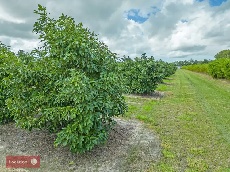 Fourth view of Homely rural property listing, 3767a Goodwood Road, Elliott QLD 4670