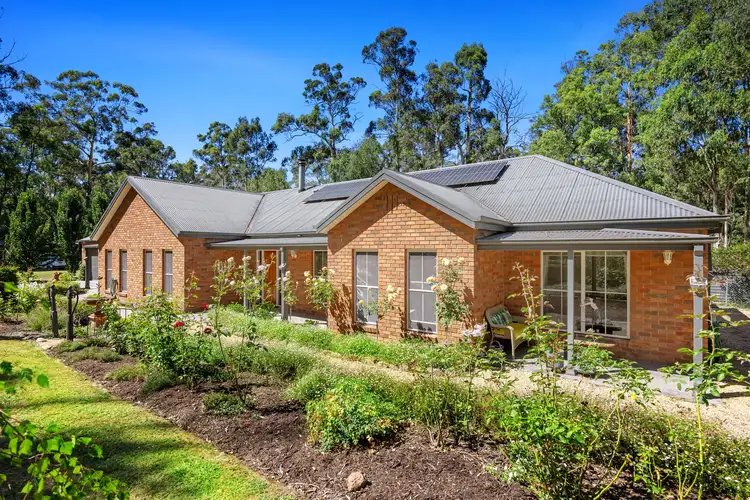 Main view of Homely rural property listing, 1168 Connelly's Creek Road, Taggerty VIC 3714