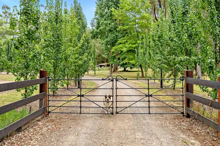 Third view of Homely rural property listing, 1168 Connelly's Creek Road, Taggerty VIC 3714