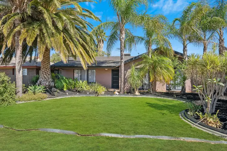 7 Monarch Avenue, Parafield Gardens SA 5107