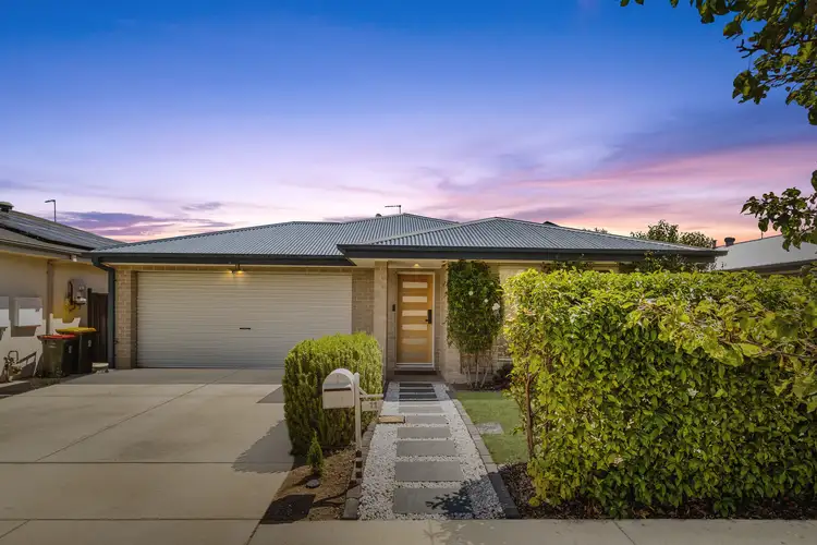 Main view of Homely house listing, 11 Dorrie Crescent, Moncrieff ACT 2914