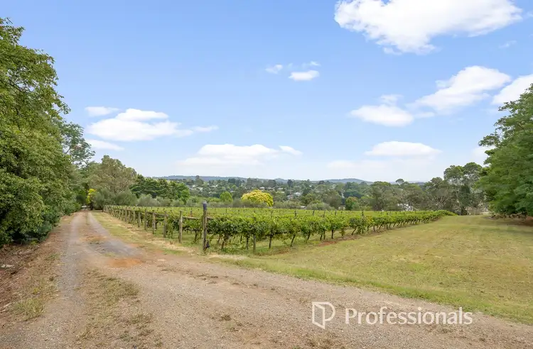 71 Beenak Road, Wandin North VIC 3139