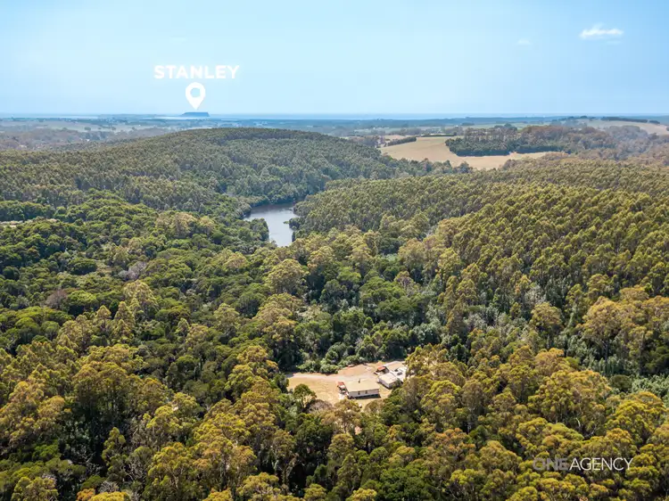 Main view of Homely house listing, 61 Tipunah Road, Mengha TAS 7330