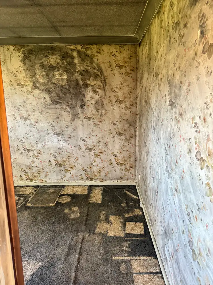 Fourth view of Homely house listing, 38 Addison Road, Culburra Beach NSW 2540