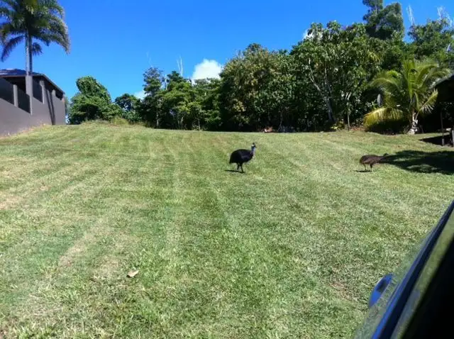 Main view of Homely land listing, 48 Dunkalli Crescent, Wongaling Beach QLD 4852