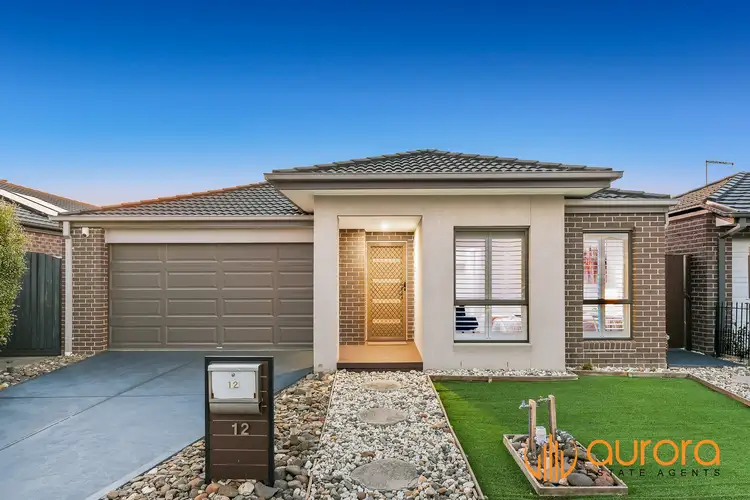 12 Elmtree Crescent, Clyde North VIC 3978