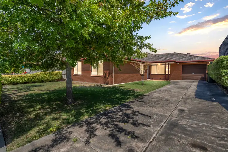25 Macey Avenue, Avondale Heights VIC 3034