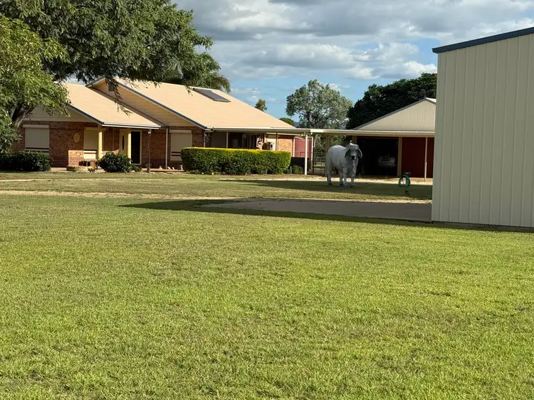 48 Washpool Road, Gracemere QLD 4702