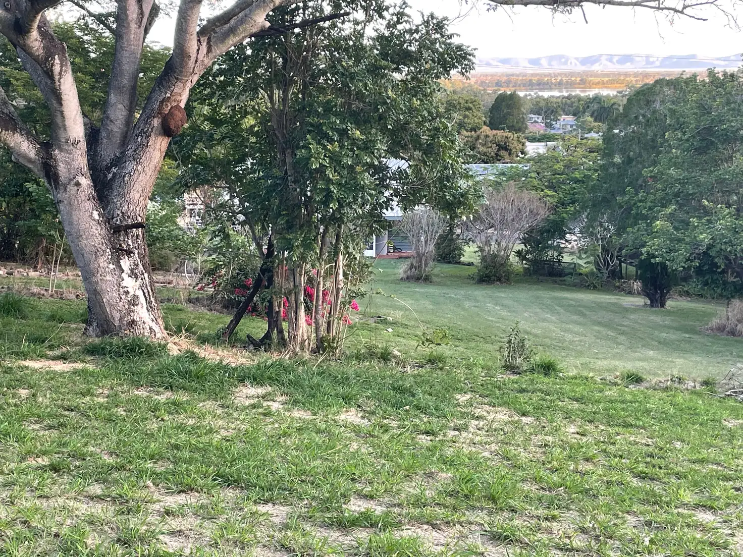Main view of Homely house listing, 357 Hinds Street, Koongal QLD 4701