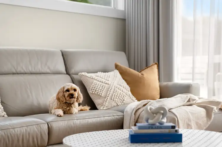 Third view of Homely house listing, 39 Parsons Street, West Wollongong NSW 2500