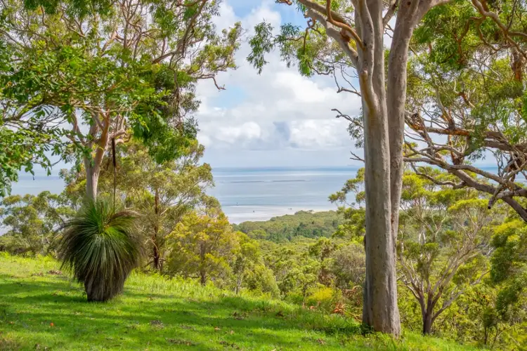 Second view of Homely house listing, 12 Illawong Crescent, Dunwich QLD 4183