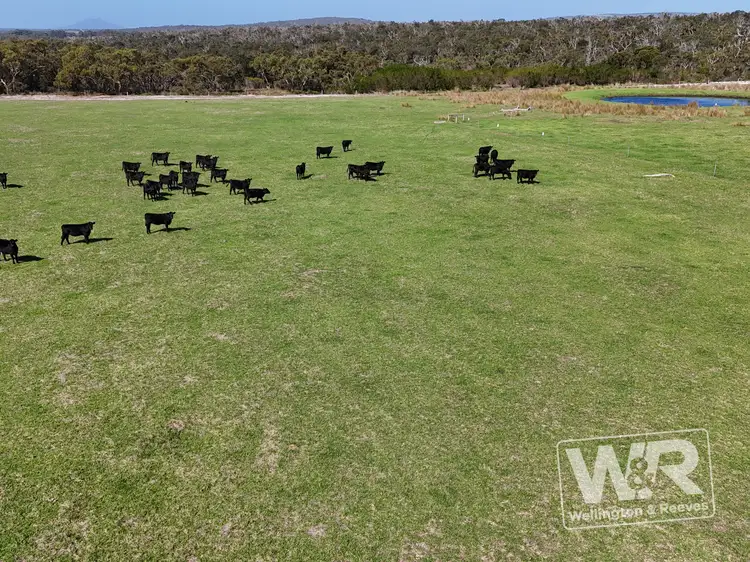 Sixth view of Homely rural property listing, 56 Bon Accord Road, Kalgan WA 6330