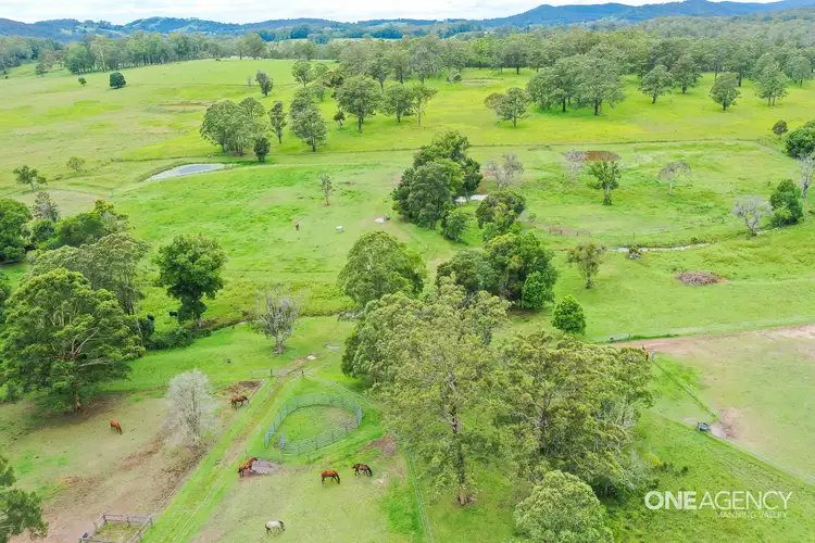 Sixth view of Homely rural property listing, 79 Red Gully Road, Burrell Creek NSW 2429
