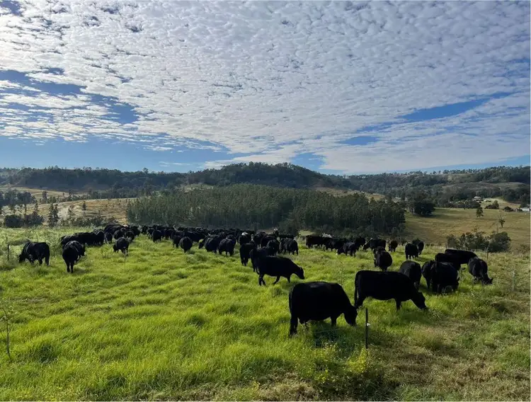 Fourth view of Homely rural property listing, 121 Aspreys Road, Kyogle NSW 2474