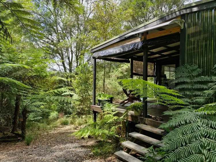 Main view of Homely rural property listing, 776 Lower Bielsdown Road, Tallowwood Ridge NSW 2453