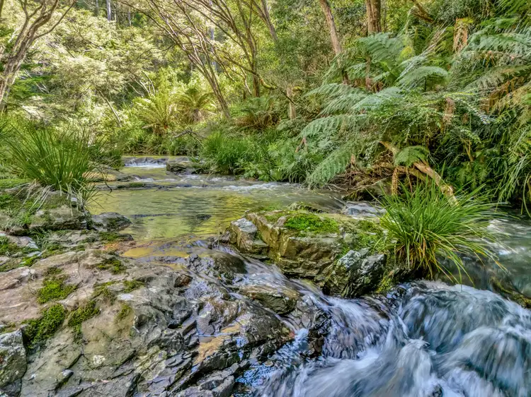 776 Lower Bielsdown Road, Tallowwood Ridge NSW 2453