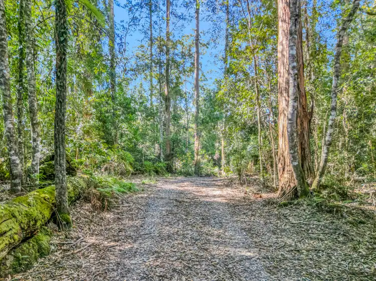 Third view of Homely rural property listing, 776 Lower Bielsdown Road, Tallowwood Ridge NSW 2453
