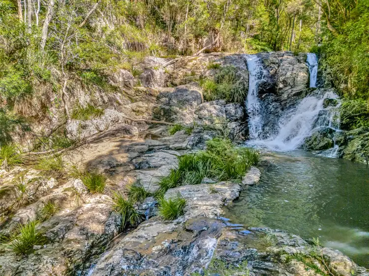 Fourth view of Homely rural property listing, 776 Lower Bielsdown Road, Tallowwood Ridge NSW 2453
