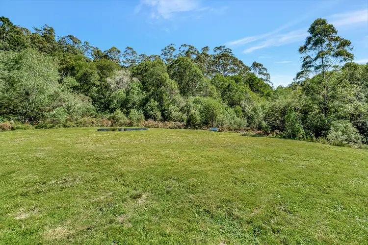Seventh view of Homely rural property listing, 776 Lower Bielsdown Road, Tallowwood Ridge NSW 2453