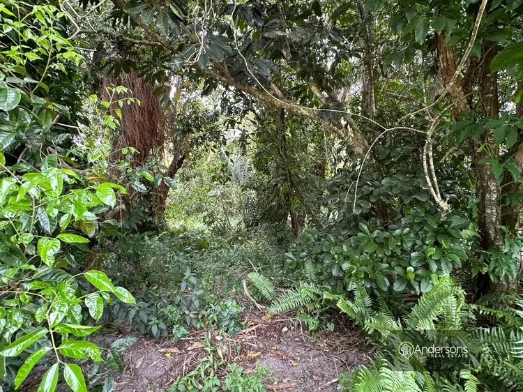 Third view of Homely land listing, 59 Holland Street, Wongaling Beach QLD 4852
