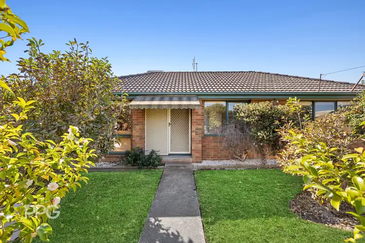 13 David Street, Drysdale VIC 3222