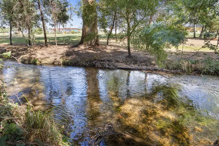 Main view of Homely house listing, 55 Mareeba Ave, Buxton VIC 3711