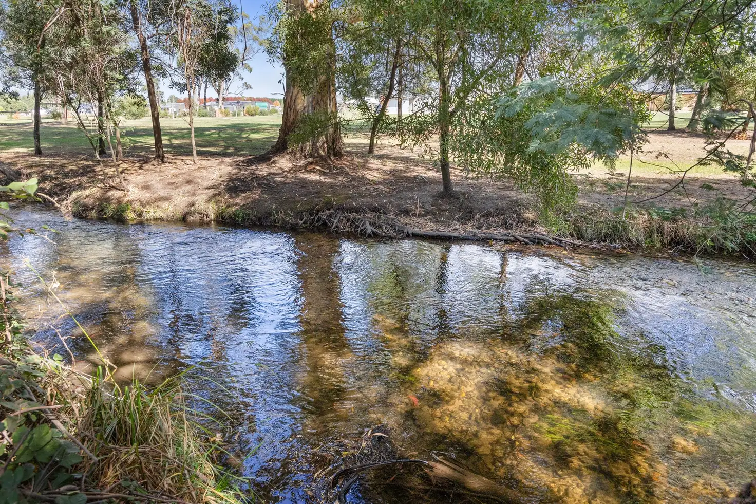 Main view of Homely house listing, 55 Mareeba Ave, Buxton VIC 3711