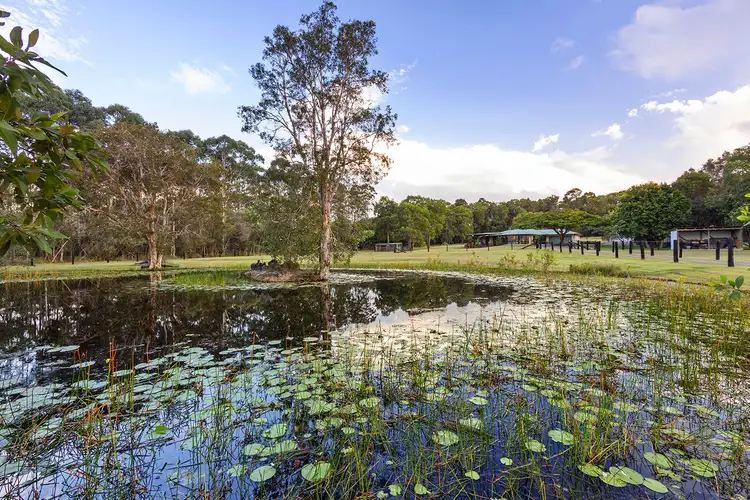 138 Callistemon Court, Cootharaba QLD 4565