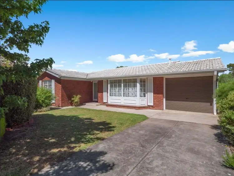 10 Phoebe Avenue