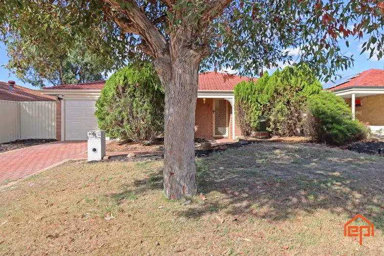 Main view of Homely house listing, 5 Thornbill Loop, Beeliar WA 6164