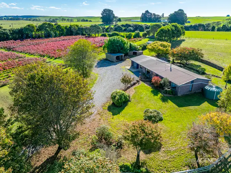 Third view of Homely other listing, 11 Rawlings Road, Lileah TAS 7330