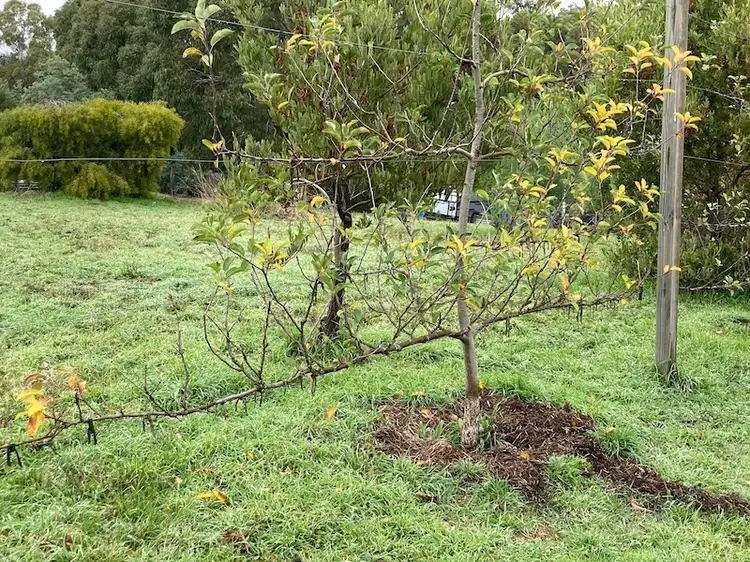 Second view of Homely land listing, 42 Table Hill Road, Daylesford VIC 3460
