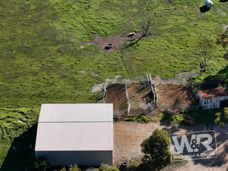 Fourth view of Homely rural property listing, 429 Chester Pass Road, Warrenup WA 6330