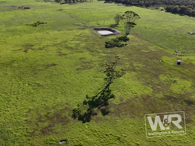Sixth view of Homely rural property listing, 429 Chester Pass Road, Warrenup WA 6330
