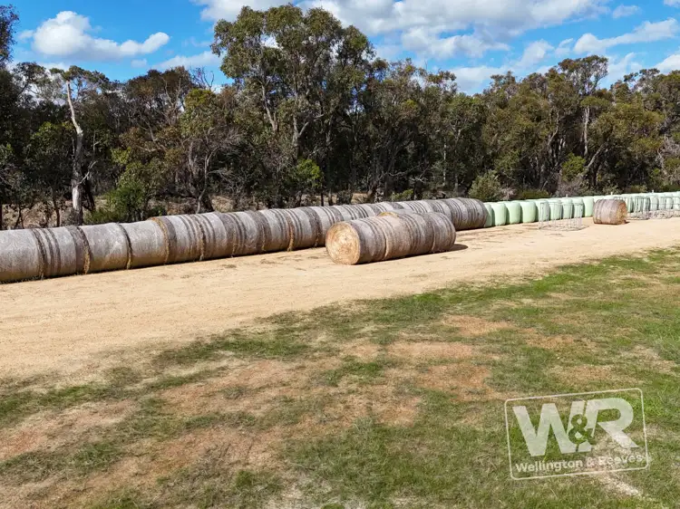 Third view of Homely rural property listing, Lot 3 Albany Highway, Narrikup WA 6326