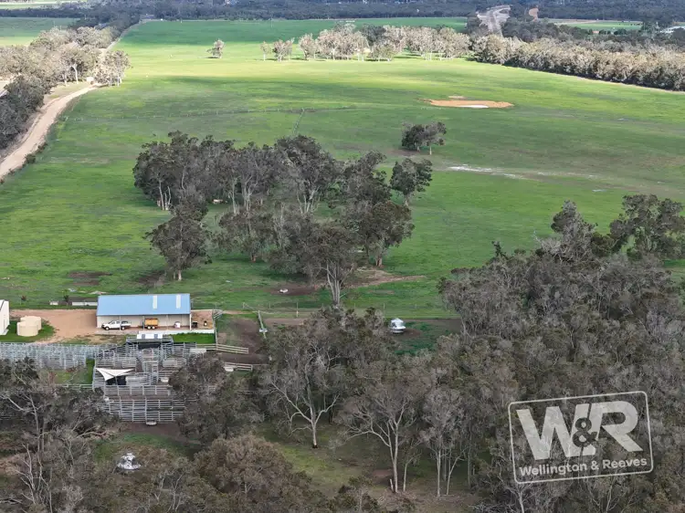 Fifth view of Homely rural property listing, Lot 3 Albany Highway, Narrikup WA 6326