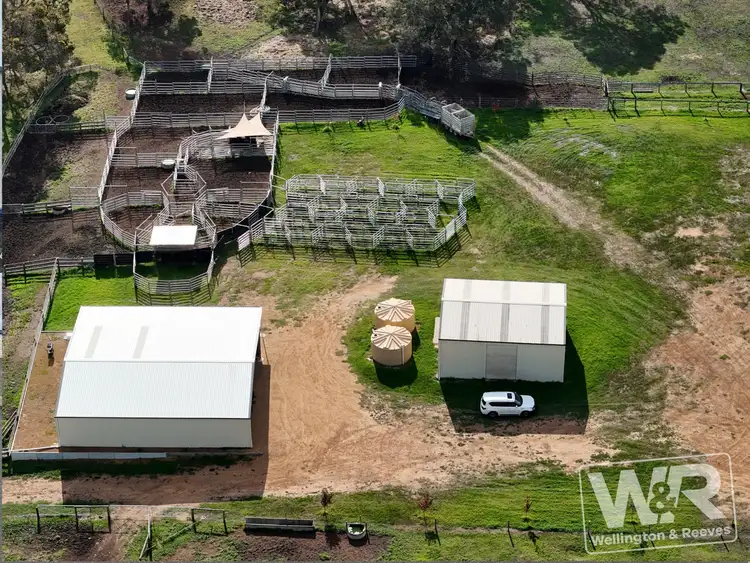 Seventh view of Homely rural property listing, Lot 3 Albany Highway, Narrikup WA 6326