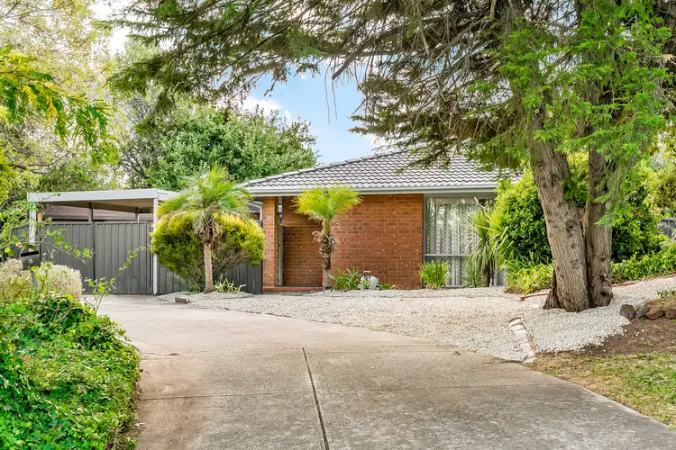 Main view of Homely house listing, 8 Hartly Crt, Surrey Downs SA 5126