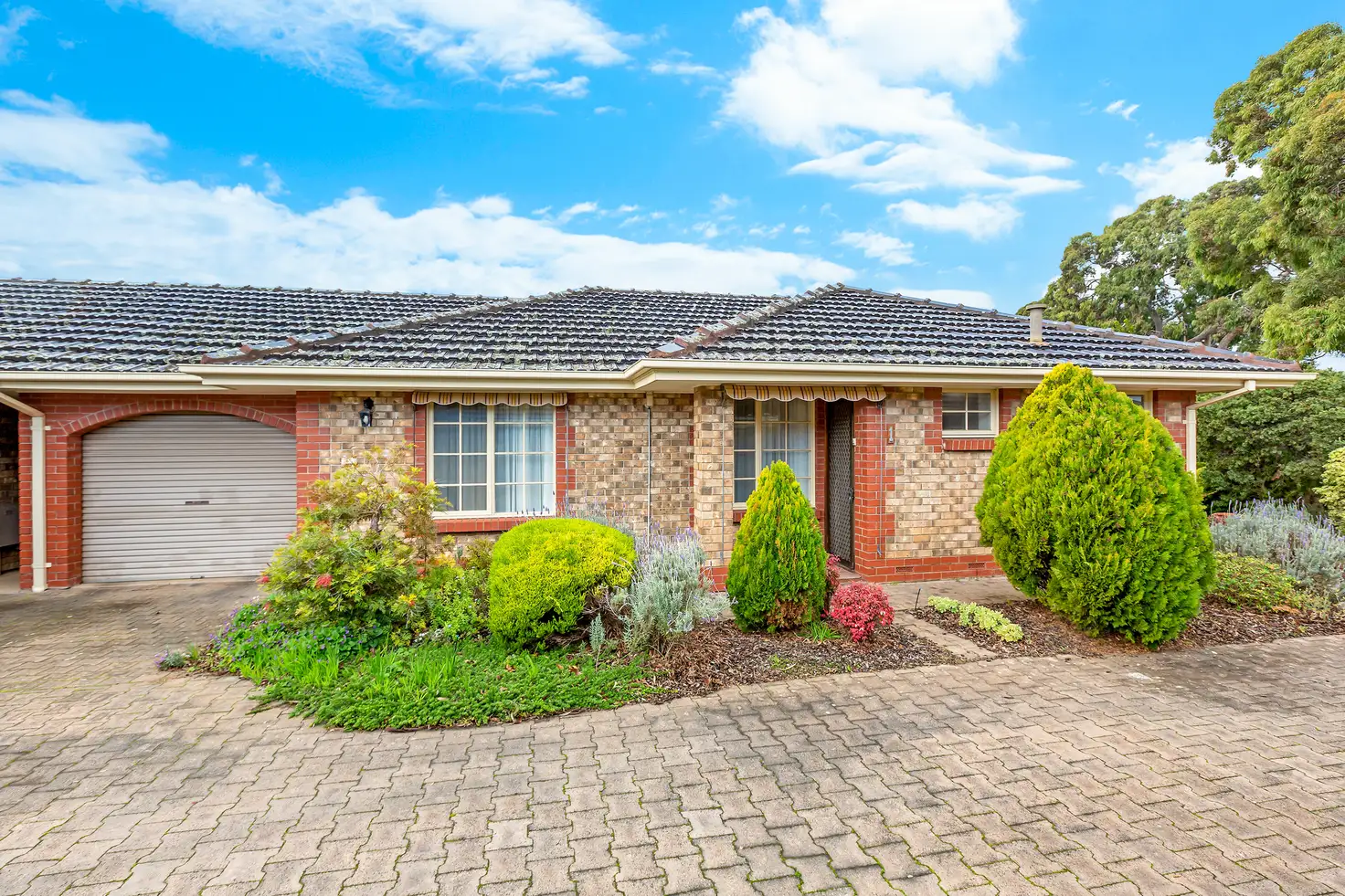 Main view of Homely townhouse listing, 1/3 Pine Avenue, Warradale SA 5046