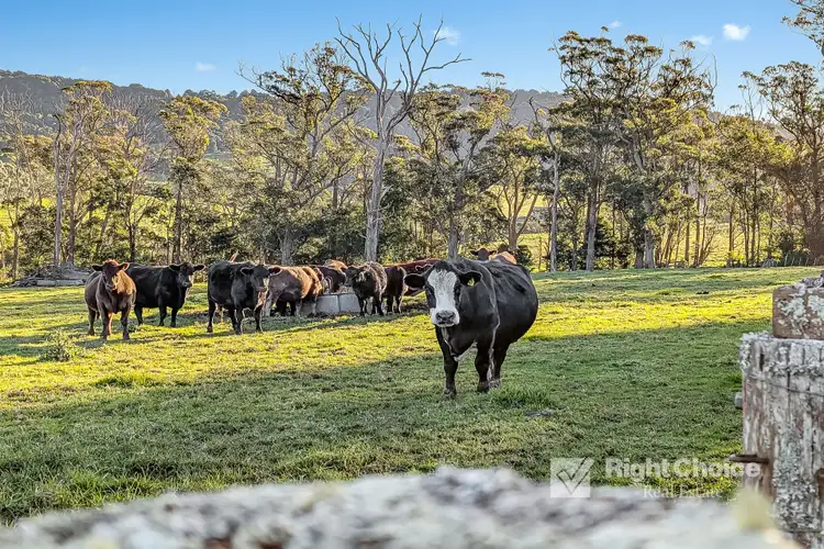 Fourth view of Homely house listing, 405 Fountaindale Road, Robertson NSW 2577