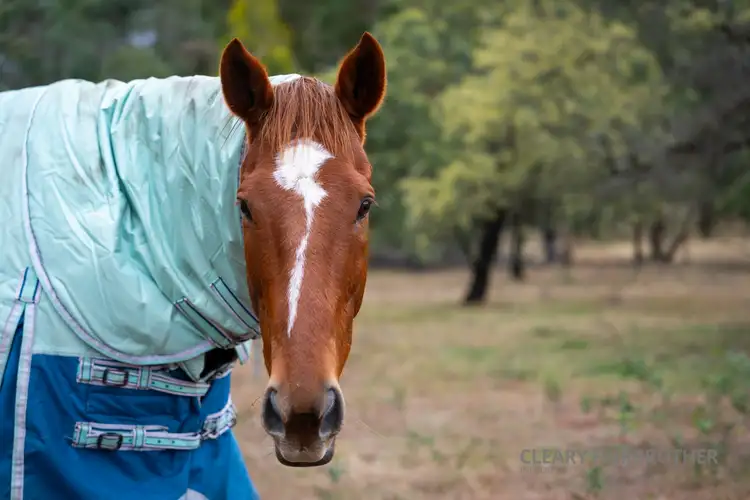 Third view of Homely house listing, 123 Molybdonite Road, Yetholme NSW 2795