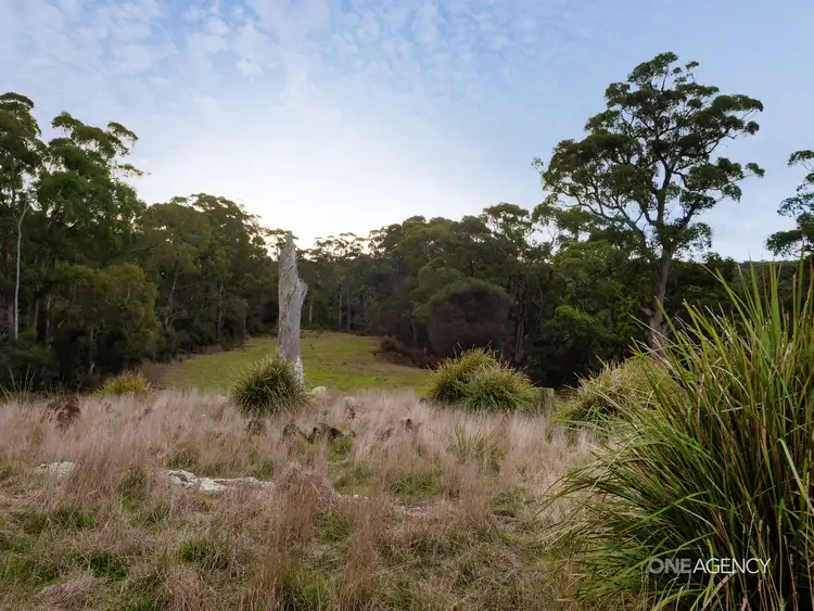 Seventh view of Homely land listing, Lot 1 Boyndey Road, Black River TAS 7321