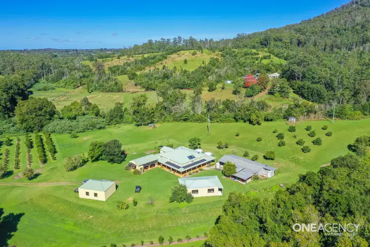 Fourth view of Homely rural property listing, 265 Mount Coxcomb Road, Upper Lansdowne NSW 2430