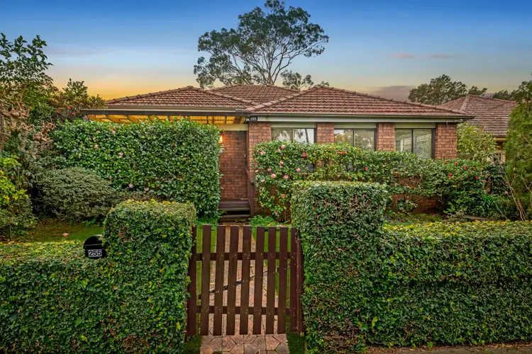 255 Sailors Bay Road, Northbridge NSW 2063