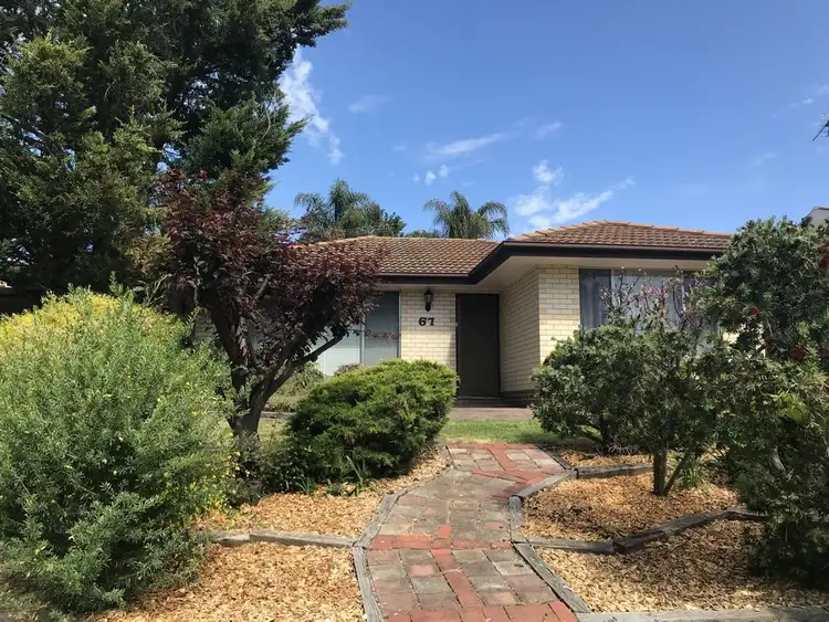 Main view of Homely house listing, 67 Xavier Street, Highbury SA 5089