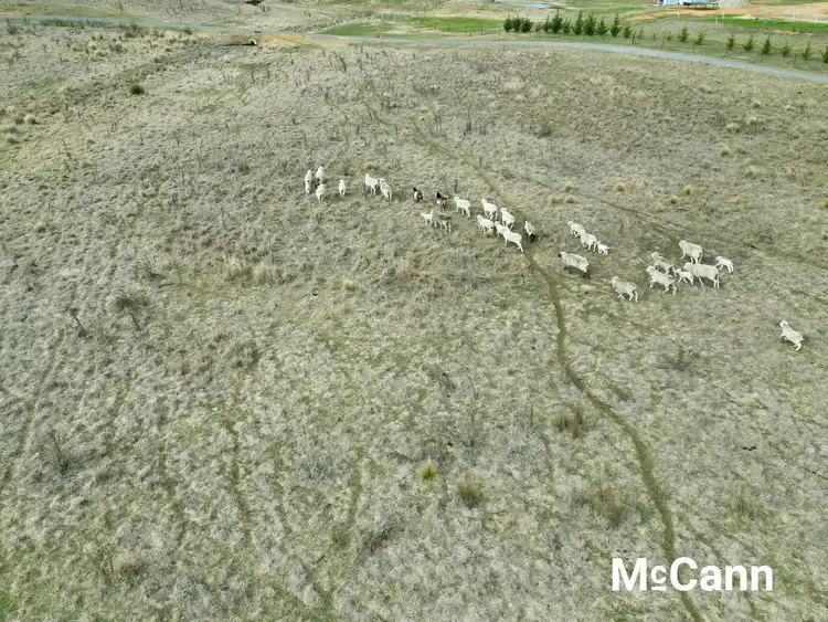 Seventh view of Homely land listing, 145 Collector Road, Gunning NSW 2581