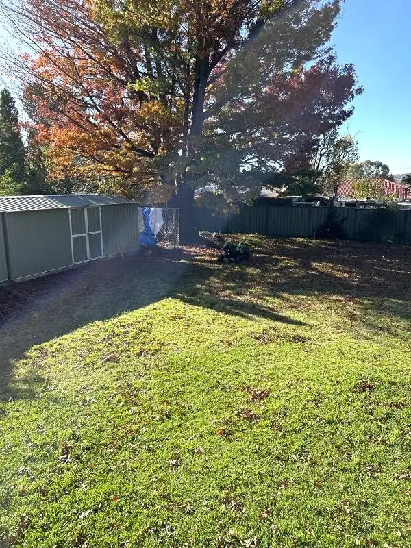 Fifth view of Homely house listing, 67 Galloway Street, Armidale NSW 2350